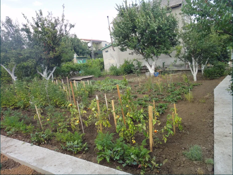 Продам 3-х этажный капитальный дом в Новой Дофиновке Нова Дофінівка - фото 20