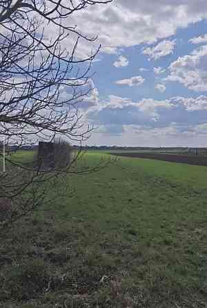 Продаж земельної ділянки 21 соток на вул. Чеська Велика Омеляна