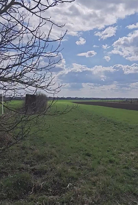 Продаж земельної ділянки 21 соток на вул. Чеська Велика Омеляна - фото 3