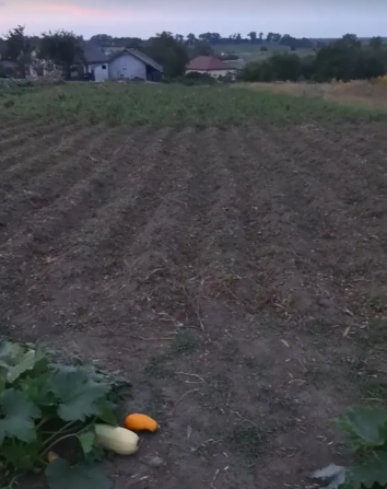 Продаж земельної ділянки під житлову забудову, площа 19 сотих, Байківці Байківці - фото 3