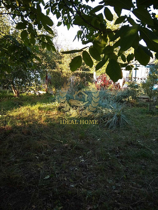 Продам дачу біля річки, с. Осещина Осещина - изображение 6