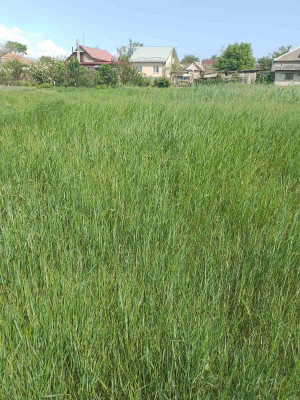 Продаж земельної ділянки 0.1 соток на ул. Ломоносова, 23б Нерубайське - фото 4