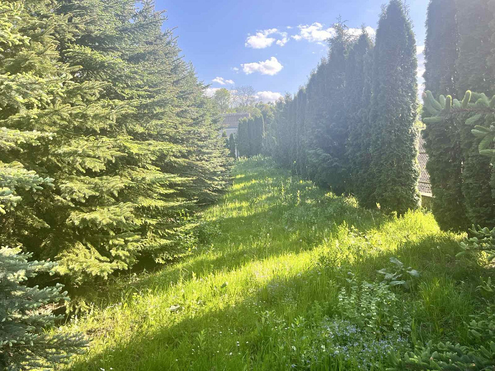 Без комісії!!!Продається будинок з власним озерцем поблизу Тернополя  - фото 4