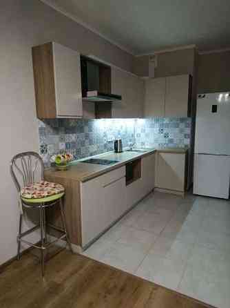 Оренда Квартира 1-кімнатна, 14/25 поверх на ул. Елены Пчилки Київ