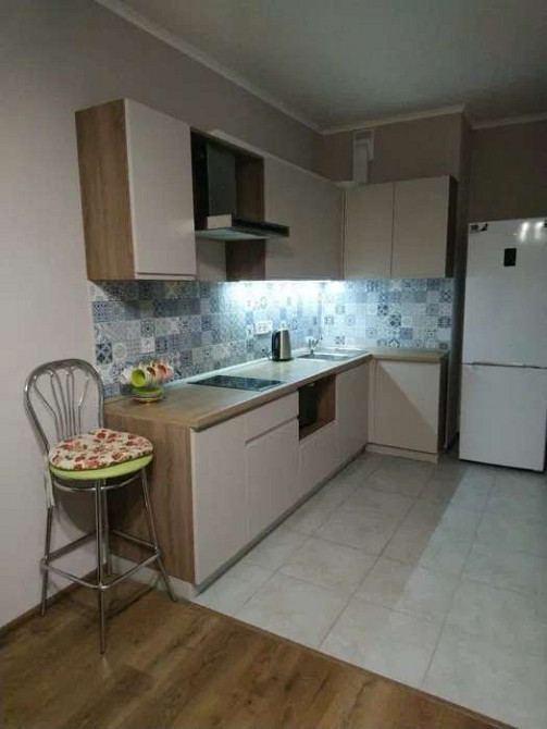 Оренда Квартира 1-кімнатна, 14/25 поверх на ул. Елены Пчилки Київ - фото 2