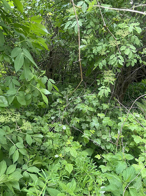 Продаж земельної ділянки 10 соток на вул. Варшавська Львів - фото 4