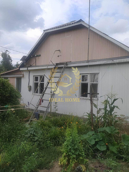 Продам будинок в смт Борова  - фото 1