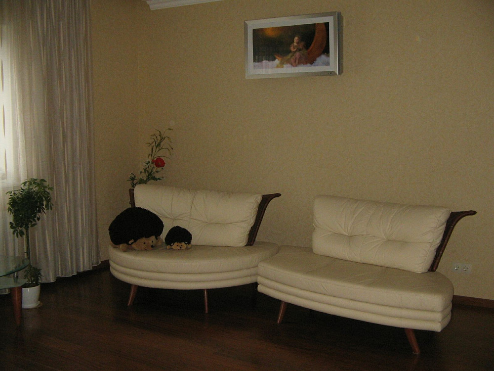 Продаж Будинок на Кринична Kiev - photo 13