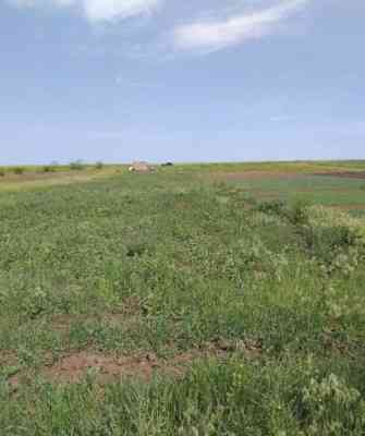 Продаж земельної ділянки 24 соток на ул. Шевченко, 257а Velykyi Dalnyk