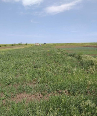 Продаж земельної ділянки 0.2 соток на ул. Шевченко, 257а Великий Дальник - фото 5