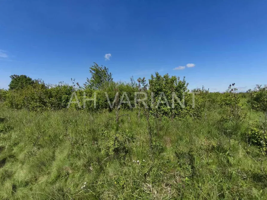 Продаж земельної ділянки Для сільськогосподарської діяльності площа 8 сот Польова Кінчеш - фото 3