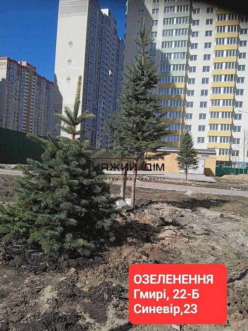 Продаж Квартира 2-кімнатна, 20/25 поверх на Бориса Гмирі Киев - изображение 4