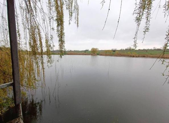 Дом у реки с камином и сауной, Великий Дальник. Великий Дальник - фото 12