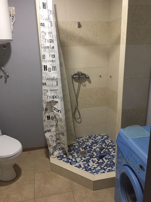 Оренда Квартира 1-кімнатна, 2/3 поверх на Садовая ул., 191 Киев - изображение 5