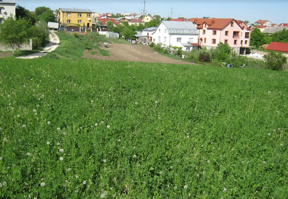 Продаж земельної ділянки 27 соток  - изображение 2