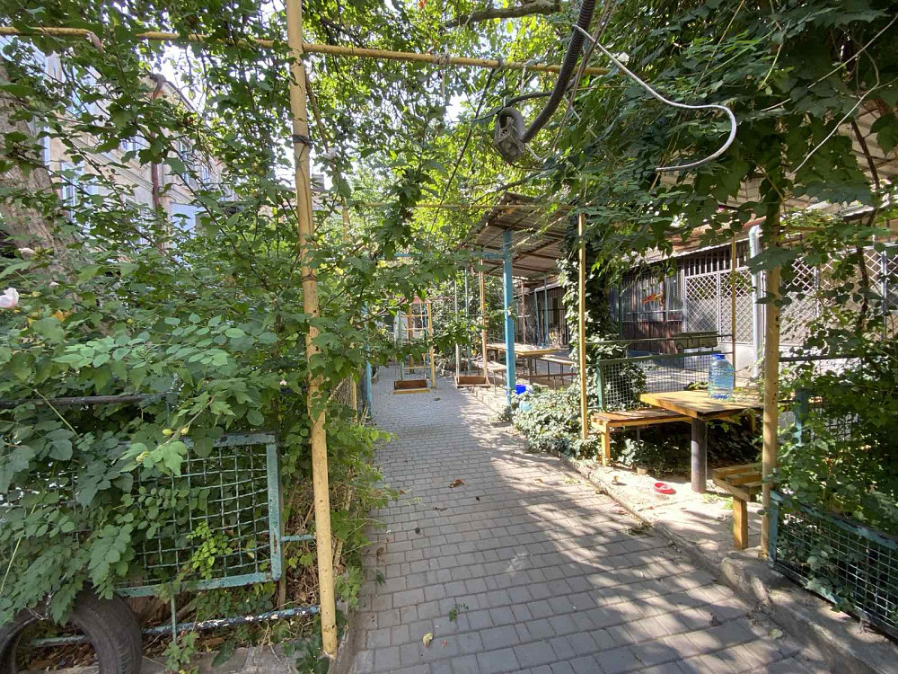 Двухкомнатная рядом с центром, ул. Градоначальницкая Одесса - изображение 7