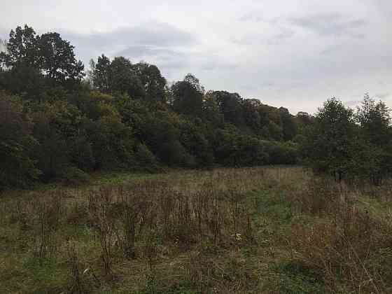 Продаж земельної ділянки 75 соток на вул. Шевченка Верхнє Синьовидне