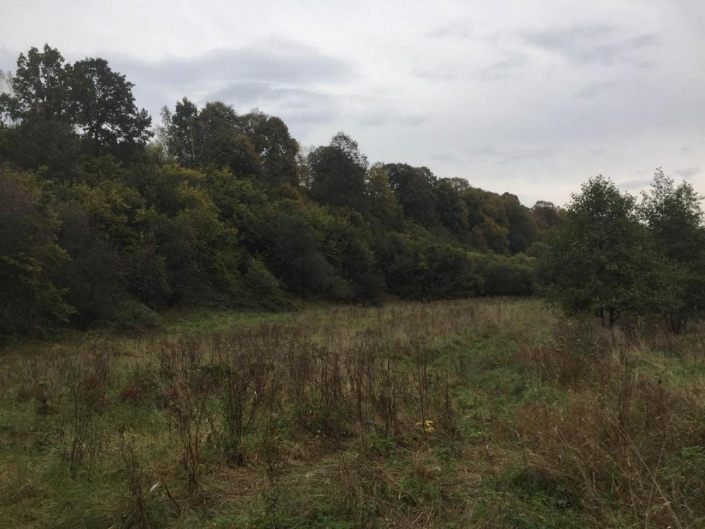 Продаж земельної ділянки 75 соток на вул. Шевченка Верхнє Синьовидне - фото 3