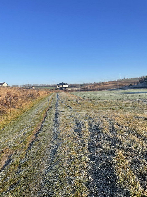 Продаж земельної ділянки 10 соток Karpylivka (Radyvylivskyi raion) - photo 4