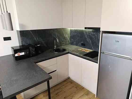 Оренда Квартира 1-кімнатна, 16/23 поверх на Максимовича, 32а Київ