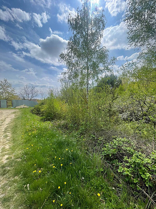 Продаж земельної ділянки 5.5 соток  - photo 6