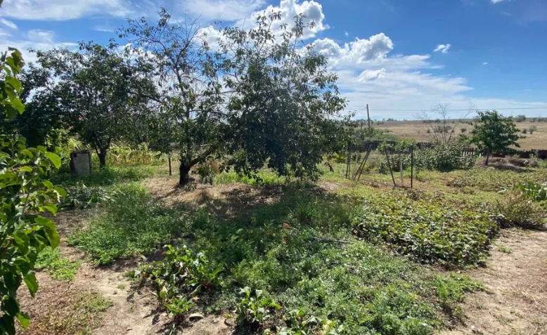 Продам дом в с.Александровка (Лиманский р-н, 5 км от Одессы) Dobrooleksandrivka - photo 19