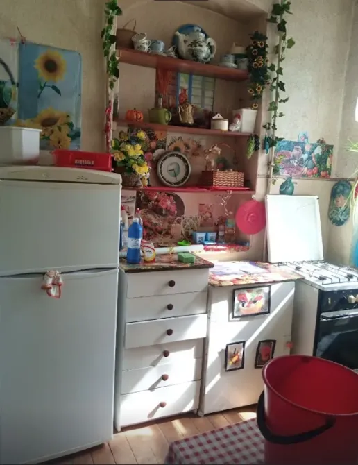 Оренда 1к Кімната 70 кв.м вулиця Шота Руставелі 17 Київ - фото 8