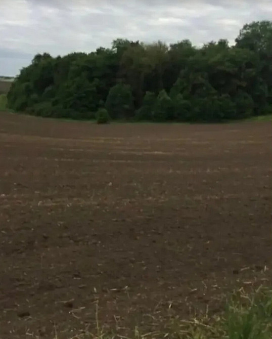 Продаж земельної ділянки 15 соток Байківці - фото 3