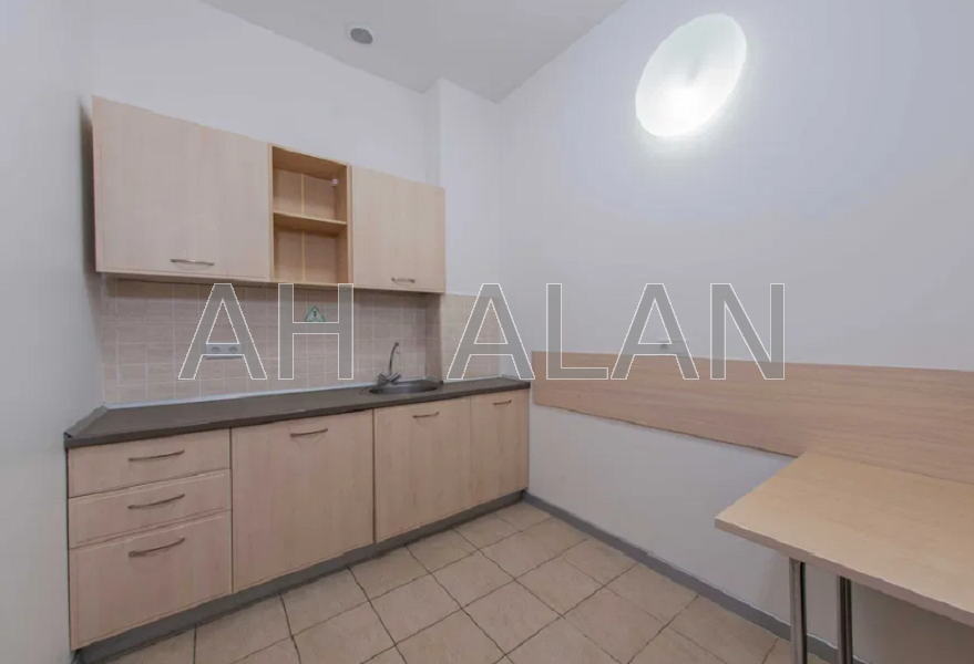 Оренда Будинок 4-кімнатний на Левка Лук'яненка вул., 21 Київ - фото 8