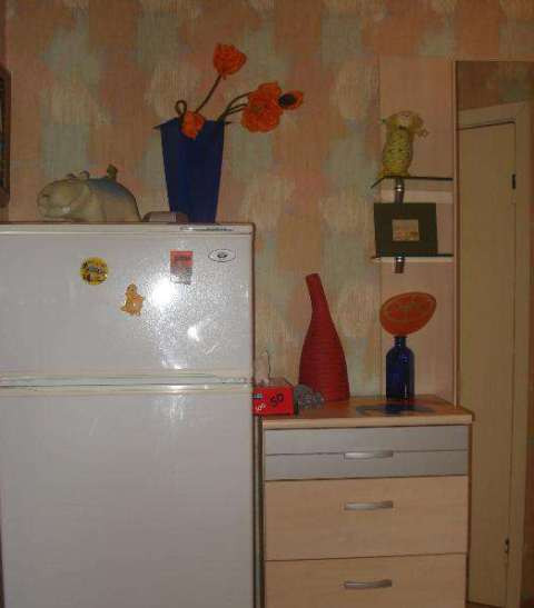 Оренда Квартира 1-кімнатна, 4/9 поверх на вул. Велика Васильківська Киев - изображение 6