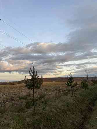 Продаж земельної ділянки 1.36 га Ямниця