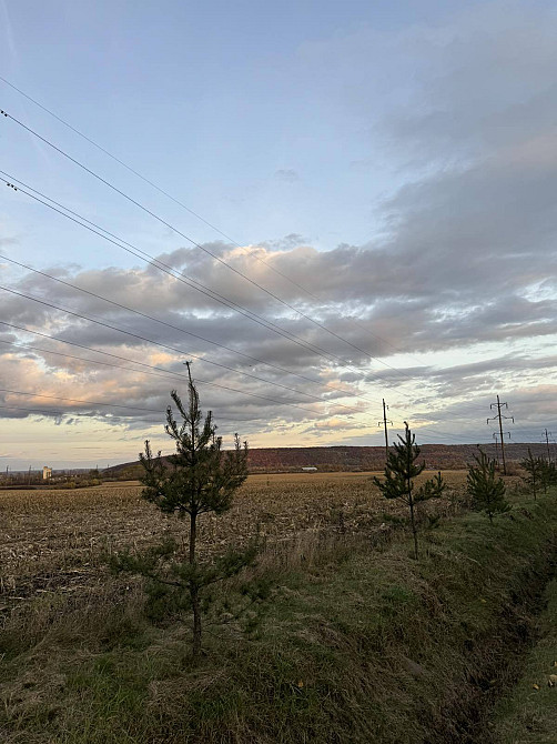 Продаж земельної ділянки 1.36 га Ямниця - фото 2