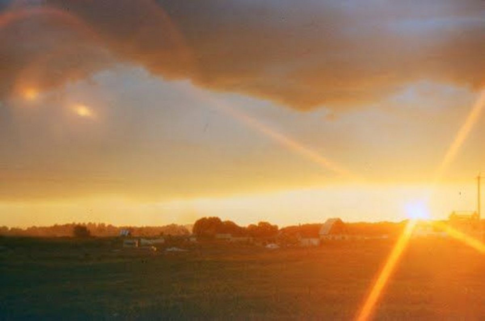 Продаж земельної ділянки 12 соток Власівка - фото 1