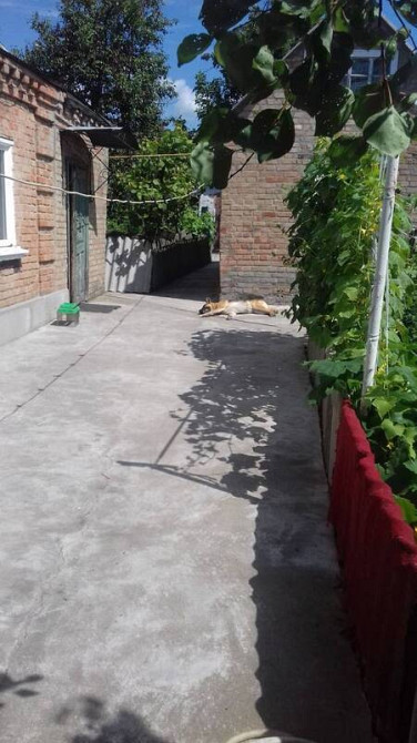 Продам півбудинку на Олексіївці Кропивницький - фото 5