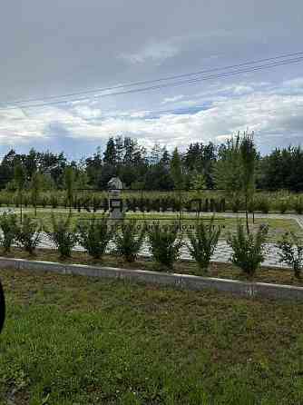 Продаж земельної ділянки 25 соток на Солнечная ул. 