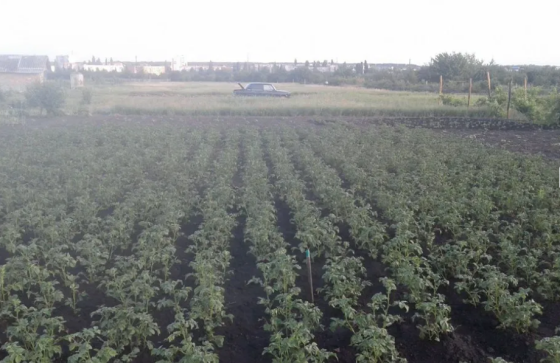 Продаж земельної ділянки 12 соток на АН Купи Дім Кропивницький