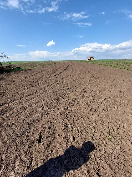 Продаж Будинок  - фото 7