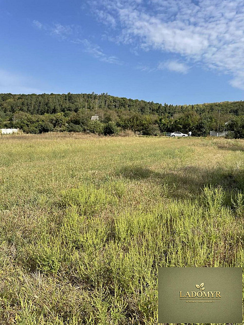 Продаж земельної ділянки 14 соток на вул. Центральна Zdolbuniv - photo 3