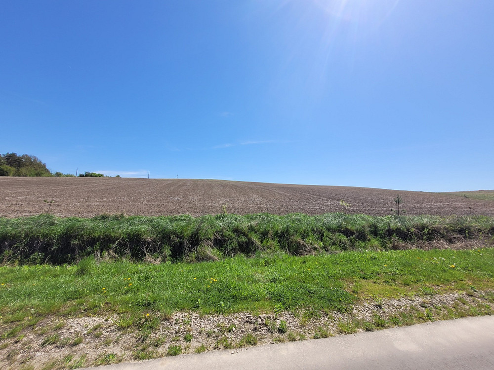 Продаж земельної ділянки 3.76 га Kolodiivka - photo 13