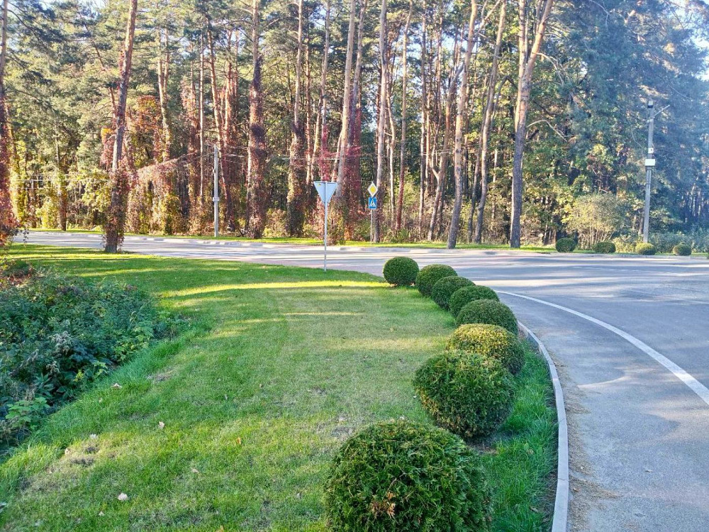 Продаж земельної ділянки 5.1 соток на вул. Щаслива Пидрясне - изображение 12