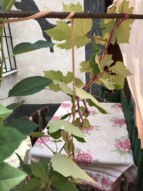 Продам 3-х комнатную квартиру в Лузановке Odessa - photo 2