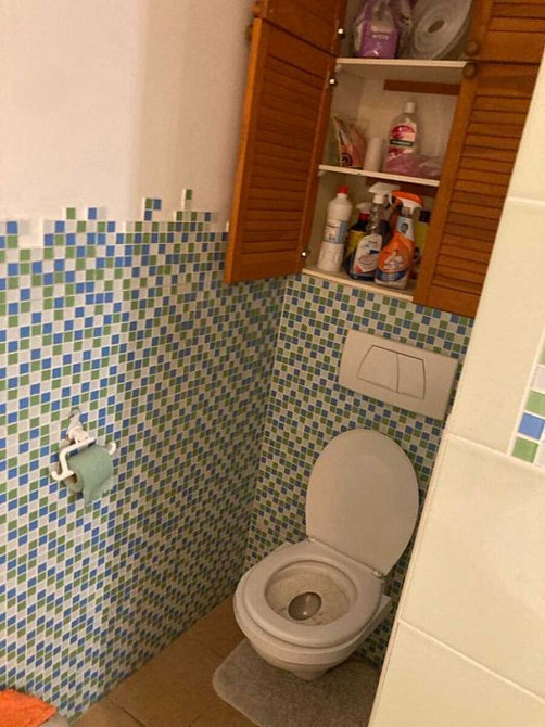 Оренда Квартира 1-кімнатна, 16/16 поверх на Бажана, 26 Київ - фото 4