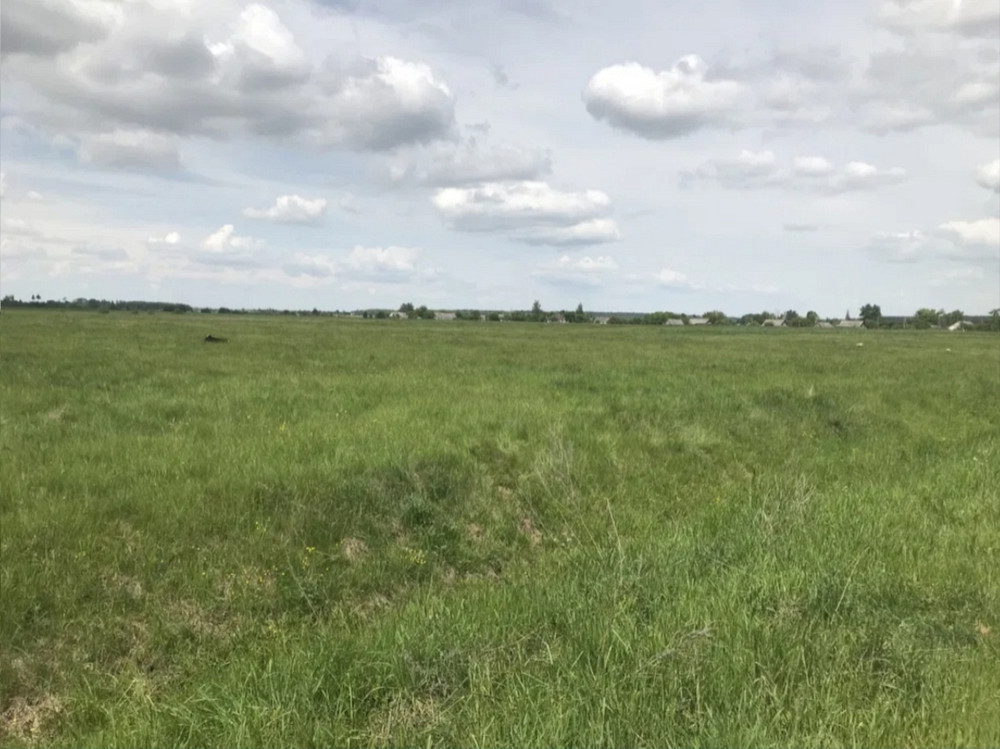 Продаж земельної ділянки 3 га на Солнечное Житомир - фото 2