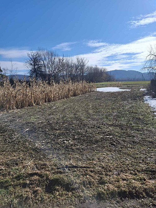 Продаж земельної ділянки 11 соток на Надрічна  - фото 1