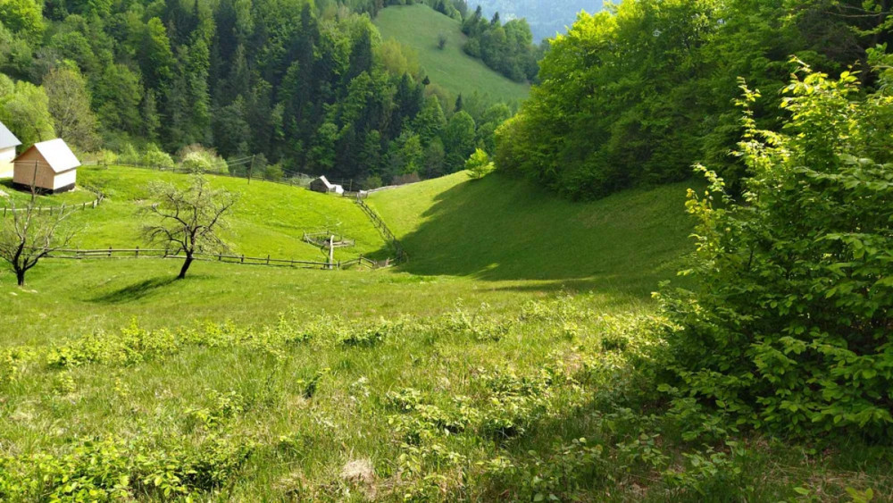 Продаж Будинок Болехів - фото 14