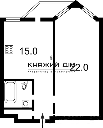 Оренда Квартира 1-кімнатна, 11/14 поверх на Паньковская ул. Киев