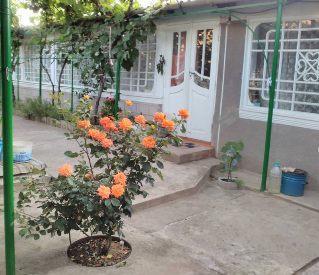 Продам дом в с.Красная Коса (70 км от Одессы) Красна Коса - фото 1