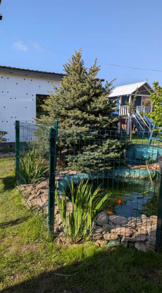 Продам зимний 2-х этажный дом с прудом с.Светлое (Свитанок, Новые дачи) Світле - фото 16