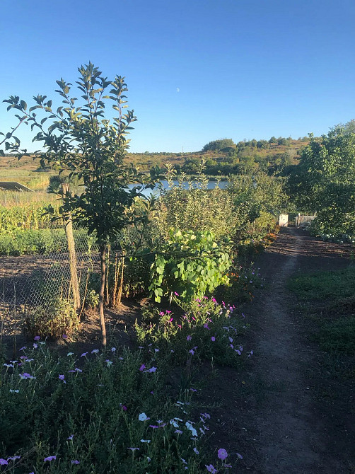 Продається будинок із садом та виходом до річки Високі Байраки - фото 9