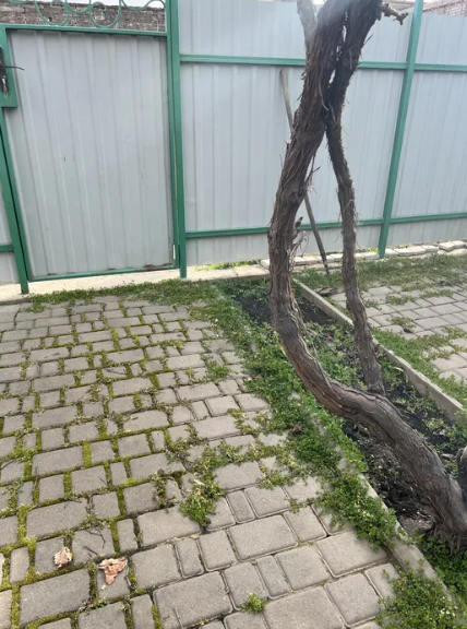 Продам домик и гараж в р-не Большевик Одеса - фото 14